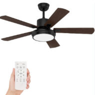 Lighting & Ceiling Fans